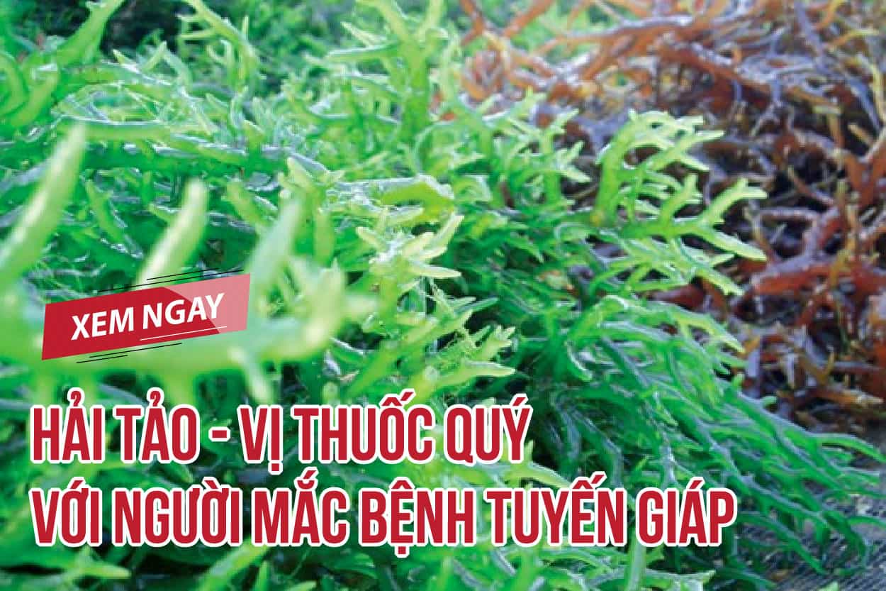 Hai-tao-co-tac-dung-tot-trong-dieu-tri-benh-tuyen-giap-min (1).jpg